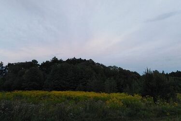 Pogoda na weekend. Niewykluczone są opady deszczu