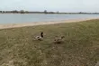 Pochmurnie, ale bez opadów. A co z temperaturą?