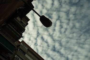 Wziął na ręce i wyrzucił przez barierkę balkonu. 25-latek odpowie za zabójstwo babci