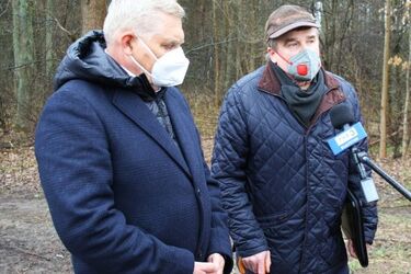 Kwestia wycinki przesądzona? Prezydent: "Tych drzew nie powinno już być od wielu lat"