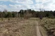 W strugach deszczu. Pojawi się szansa na przejaśnienia?
