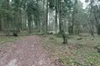 Mniej wietrznie, ale wciąż dość chłodno i deszczowo