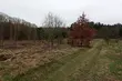 Cieplej, ale deszczowo. Niekorzystny będzie też biomet