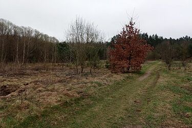 Cieplej, ale deszczowo. Niekorzystny będzie też biomet