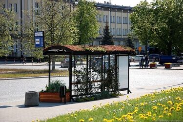 Zielone przystanki ponownie zostały docenione. Tym razem za innowację