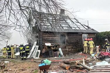 Właściciel nie żyje, one przetrwały. Pieski ocalone z pożaru czekają na nowy dom