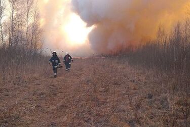 Tysiące osób walczyło z ogniem przez 7 dni. Żywioł nie dawał za wygraną [ZDJĘCIA]