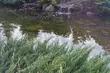 W kwietniu jak w kalejdoskopie. Pogoda znów nas zaskoczy?