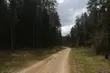 Atak zimy pod koniec kwietnia? Idą przymrozki