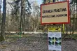 Z roku na rok prawie 50% więcej zatrzymanych nielegalnych migrantów. Najczęściej z Rosji