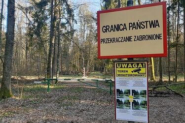Z roku na rok prawie 50% więcej zatrzymanych nielegalnych migrantów. Najczęściej z Rosji