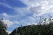 Czeka nas weekend pod znakiem nocnych przymrozków. A co z temperaturą w dzień?
