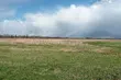 Biomet korzystny, bez opadów. A co z temperaturą?