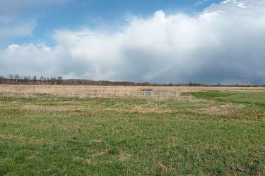 Biomet korzystny, bez opadów. A co z temperaturą?
