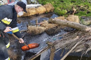 Nietypowe interwencje podlaskich strażaków
