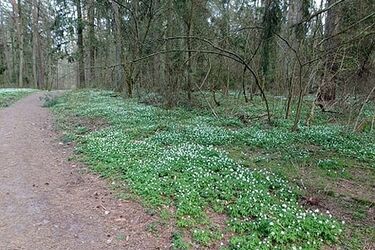 To już ostatni dzień kwietnia. Czy prognoza nas zaskoczy?
