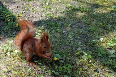 Cieplej, mniej wietrznie, bez opadów. Pogoda na 4 maja napawa optymizmem