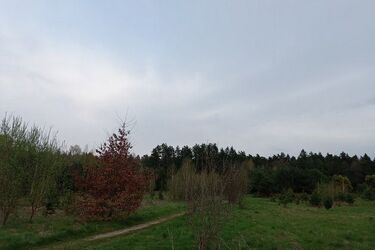 Cieplej i mniej wietrznie, ale mogą pojawić się opady