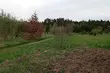 Po deszczowej środzie czas na nieco pogodniejszy czwartek 