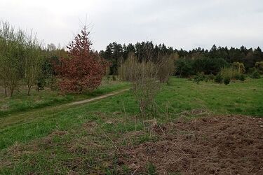 Po deszczowej środzie czas na nieco pogodniejszy czwartek 