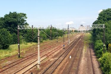 Dolina Cisów i Lisia Góra. Czy w Wasilkowie powstaną dodatkowe przystanki kolejowe?