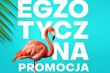 Promocja w Alfa Centrum. Zrób zakupy, dostaniesz kartę podarunkową na 50 zł