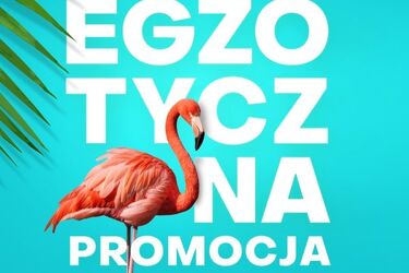 Promocja w Alfa Centrum. Zrób zakupy, dostaniesz kartę podarunkową na 50 zł