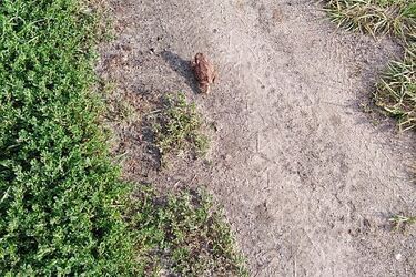 Maj czuć w powietrzu. Pogoda dopisze i dziś