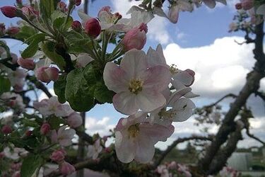 Pochmurny czwartek w stolicy województwa. A co z temperaturą?