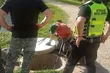 Nieboraczka utknęła w studzience
