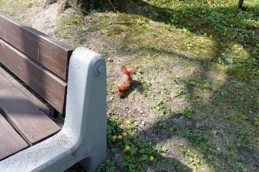 Duszny weekend w strugach deszczu. Słońce też zaświeci