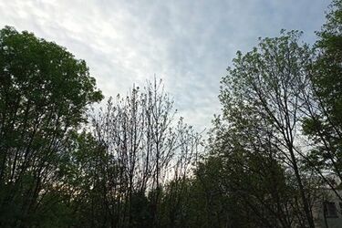Z widmem opadów i spadkiem temperatury - tak zapowiada się środa w mieście