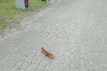 Co dziś wyczytamy z chmur? Zagrzmi, a może zaświeci?