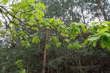 Jakiej aury możemy spodziewać się we wtorek?