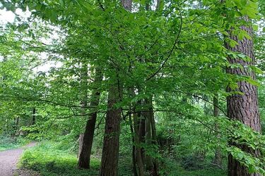Maj powoli dobiega końca. Jaki będzie ostatni czwartek tego miesiąca?