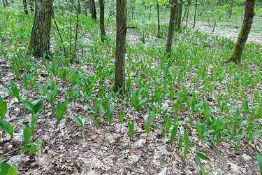 Przed nami ostatni majowy weekend. Pogoda dopisze?