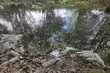 Harcerze sprzątali Biebrzański Park Narodowy. Ilość śmieci zatrważająca