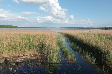 Możliwe opady. A co z temperaturą?