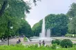 Stokrotki do zgarnięcia. Miasto będzie je rozdawać w parku Planty
