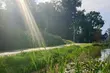Weekend w Białymstoku. Jakiej pogody należy się spodziewać?