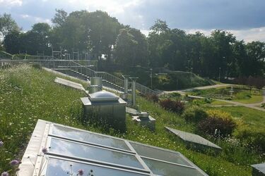 Pogodny poniedziałek w Białymstoku. Ile stopni wskażą termometry?