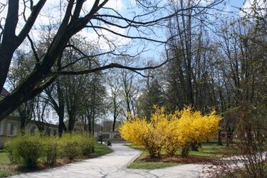 Półmetek tygodnia. Jaką pogodę przyniesie?