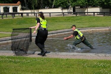 Szły za mamą i wpadły do fontanny. Niecodzienna akcja ratunkowa