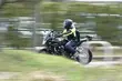Nie żyje motocyklista. Najechał na łosia