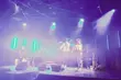 Niesamowite muzyczne combo w wykonaniu Lautari