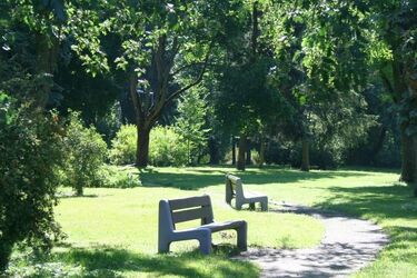 Ciepło i sucho. Wtorek w Białymstoku bez opadów