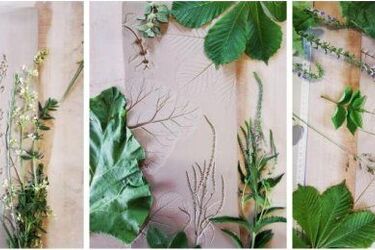 Warsztaty "Botanicum" dla młodzieży