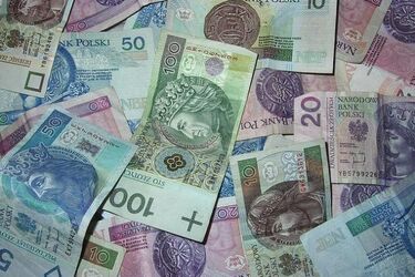 Uzyskali ponad 1,7 mln zł z darowizn. Działali m.in. jako spółka "Spełniamy Marzenia"