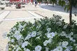 Gorący półmetek tygodnia. Może jednak popadać