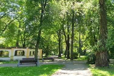 Gorący początek tygodnia. Mogą wystąpić burze